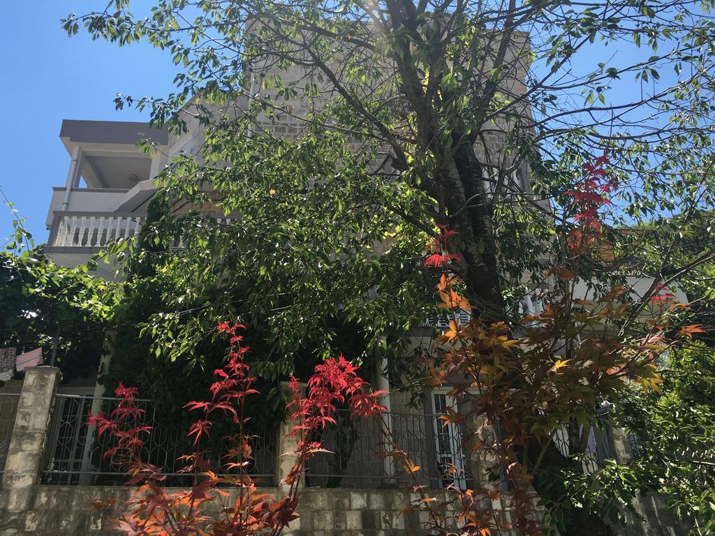Apartman Popovic